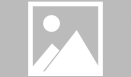 少儿频道直播在线观看